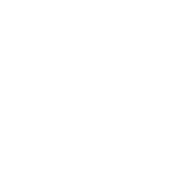 PRO-TIM Auto Plac